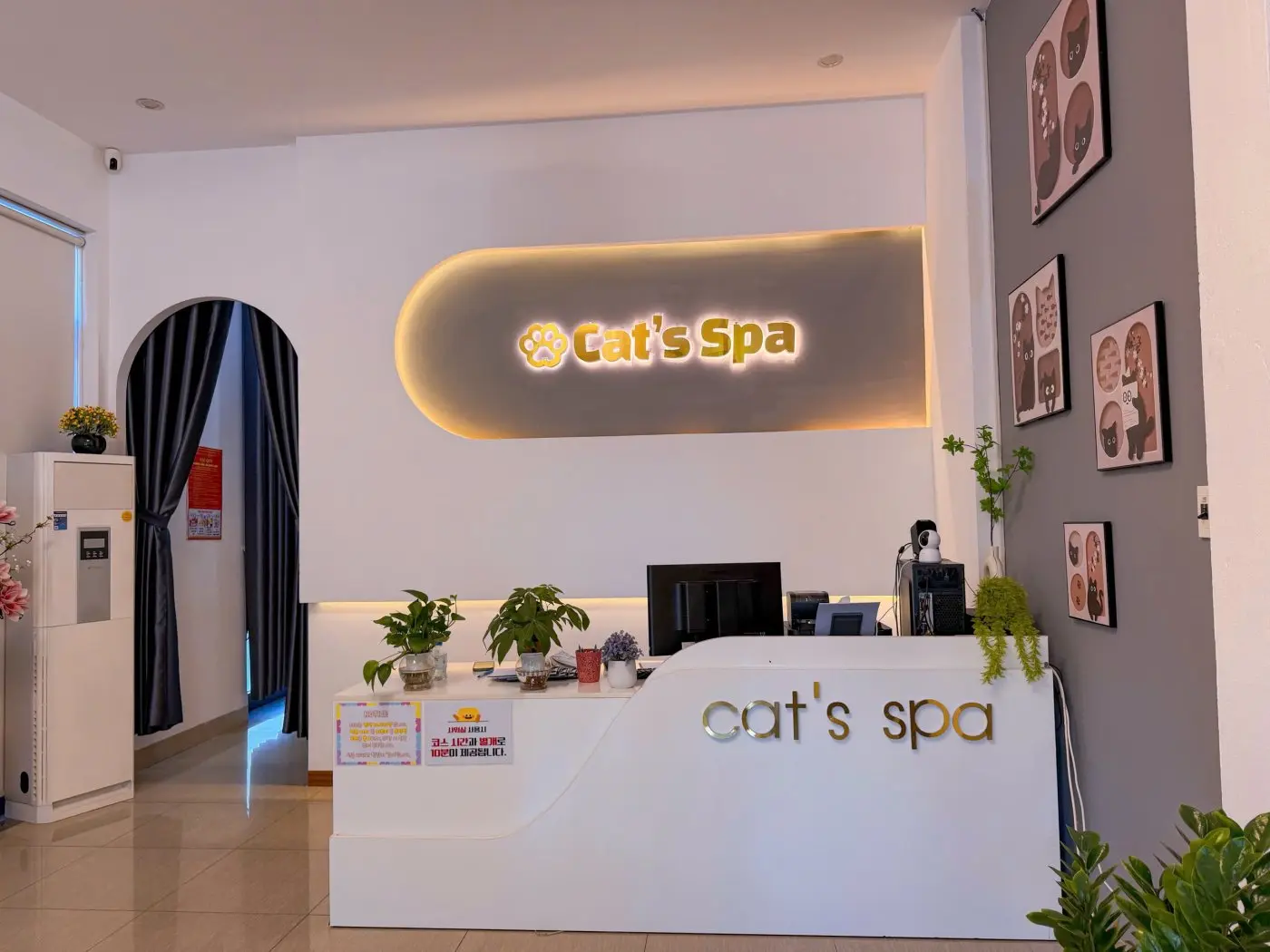 캣츠스파 Cat's Spa 사진 3